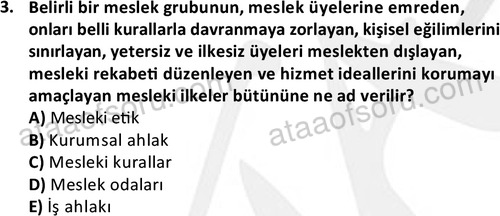 ata sosyalhizmlisans 2345 3