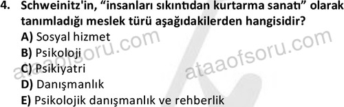 ata sosyalhizmlisans 2345 4