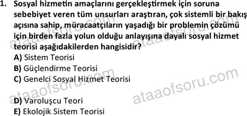 ata sosyalhizmlisans 2345 1