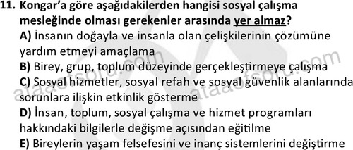 ata sosyalhizmlisans 2345 11