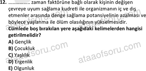 ata sosyalhizmlisans 2345 12
