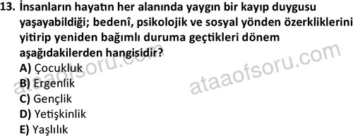 ata sosyalhizmlisans 2345 13