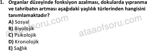 ata sosyalhizmlisans 2345 1