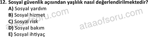 ata sosyalhizmlisans 2345 12