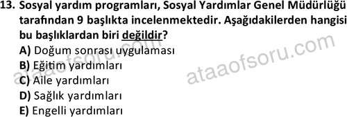 ata sosyalhizmlisans 2345 13