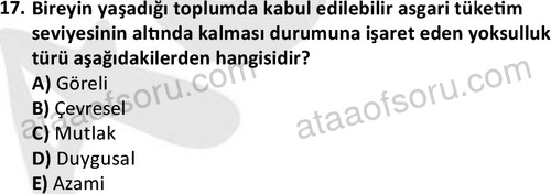 ata sosyalhizmlisans 2345 17