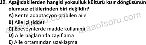 ata sosyalhizmlisans 2345 19