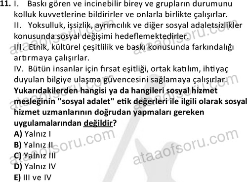 ata sosyalhizmlisans 2345 11