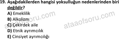 ata sosyalhizmlisans 2345 19