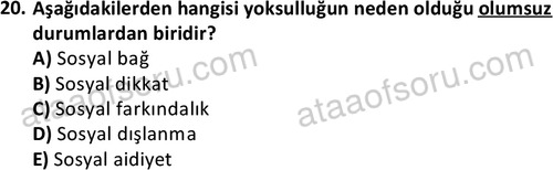 ata sosyalhizmlisans 2345 20