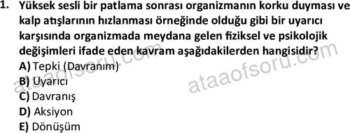ata sosyalhizmlisans 2359 1