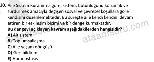 ata sosyalhizmlisans 2359 20