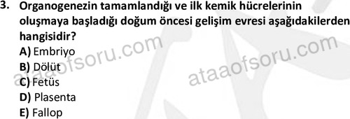 ata sosyalhizmlisans 2359 3