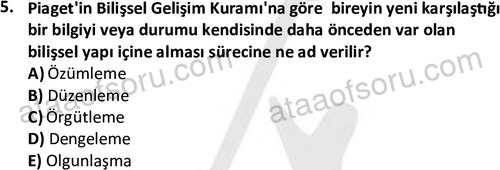 ata sosyalhizmlisans 2359 5