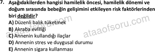 ata sosyalhizmlisans 2359 7