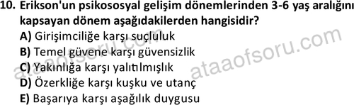 ata sosyalhizmlisans 2359 10