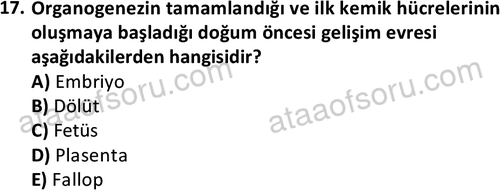 ata sosyalhizmlisans 2359 17