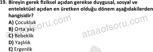 ata sosyalhizmlisans 2359 19