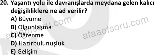 ata sosyalhizmlisans 2359 20