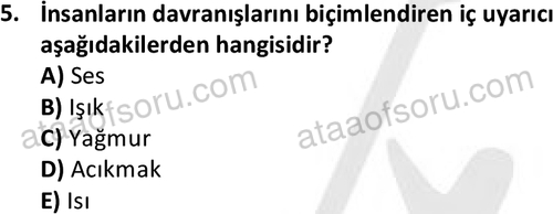 ata sosyalhizmlisans 2359 5