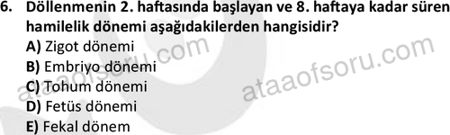 ata sosyalhizmlisans 2359 6