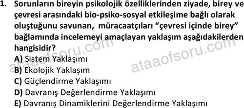 ata sosyalhizmlisans 2359 1