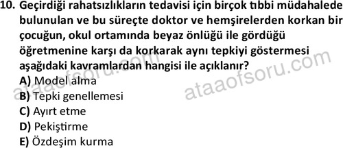 ata sosyalhizmlisans 2359 10