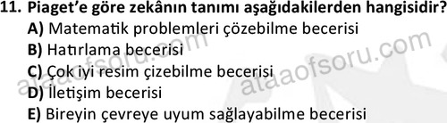ata sosyalhizmlisans 2359 11