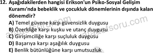 ata sosyalhizmlisans 2359 12