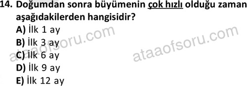 ata sosyalhizmlisans 2359 14
