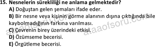 ata sosyalhizmlisans 2359 15