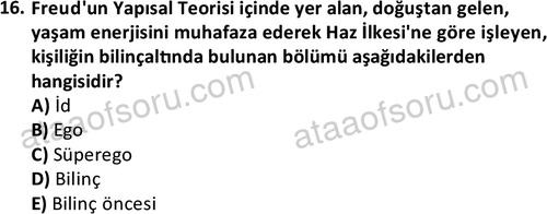 ata sosyalhizmlisans 2359 16