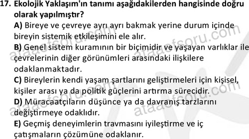 ata sosyalhizmlisans 2359 17