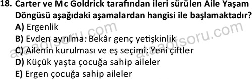 ata sosyalhizmlisans 2359 18