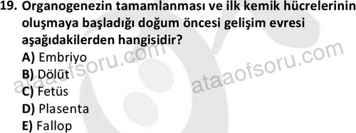 ata sosyalhizmlisans 2359 19