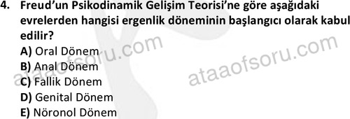 ata sosyalhizmlisans 2359 4