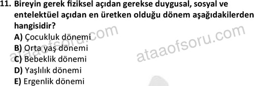 ata sosyalhizmlisans 2359 11