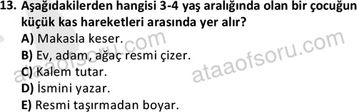 ata sosyalhizmlisans 2359 13