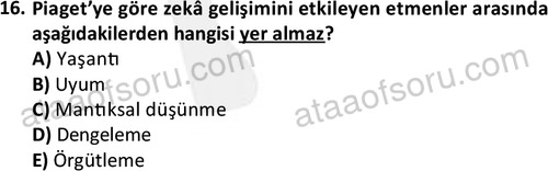 ata sosyalhizmlisans 2359 16
