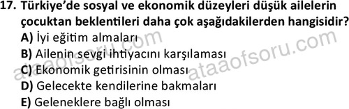 ata sosyalhizmlisans 2359 17