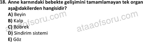 ata sosyalhizmlisans 2359 18