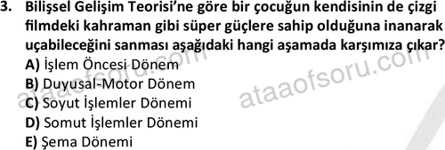 ata sosyalhizmlisans 2359 3