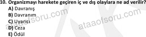 ata sosyalhizmlisans 2359 10