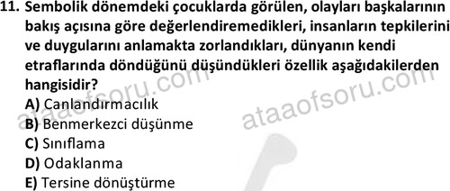 ata sosyalhizmlisans 2359 11