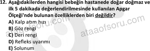 ata sosyalhizmlisans 2359 12
