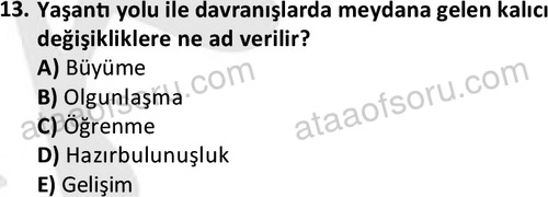 ata sosyalhizmlisans 2359 13