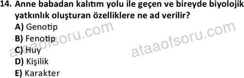 ata sosyalhizmlisans 2359 14