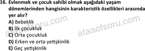 ata sosyalhizmlisans 2359 16