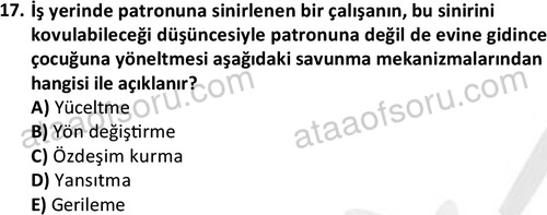 ata sosyalhizmlisans 2359 17