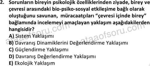 ata sosyalhizmlisans 2359 2
